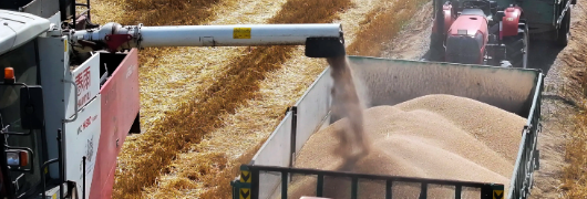 必发888(唯一)官方网站