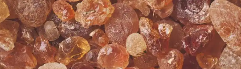 必发888(唯一)官方网站