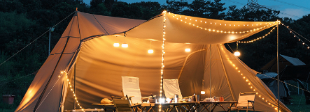 必发888(唯一)官方网站