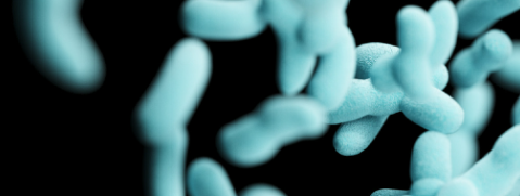 必发888(唯一)官方网站