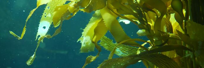 必发888(唯一)官方网站