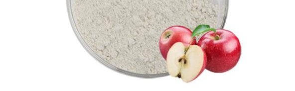 必发888(唯一)官方网站