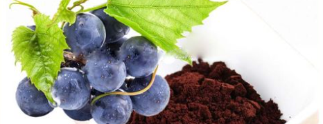 必发888(唯一)官方网站