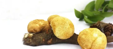 必发888(唯一)官方网站