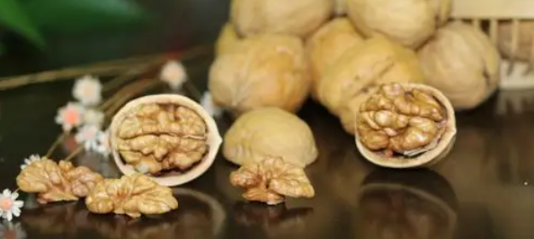 必发888(唯一)官方网站