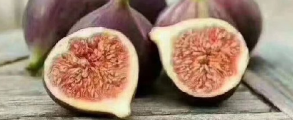 必发888(唯一)官方网站