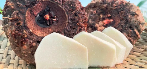 必发888(唯一)官方网站