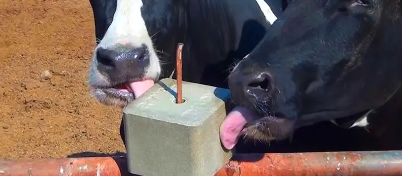 必发888(唯一)官方网站