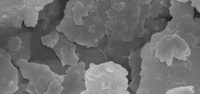 必发888(唯一)官方网站