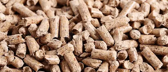 必发888(唯一)官方网站