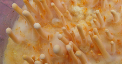 必发888(唯一)官方网站