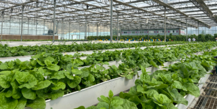 必发888(唯一)官方网站