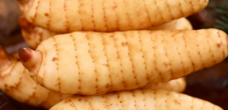 必发888(唯一)官方网站