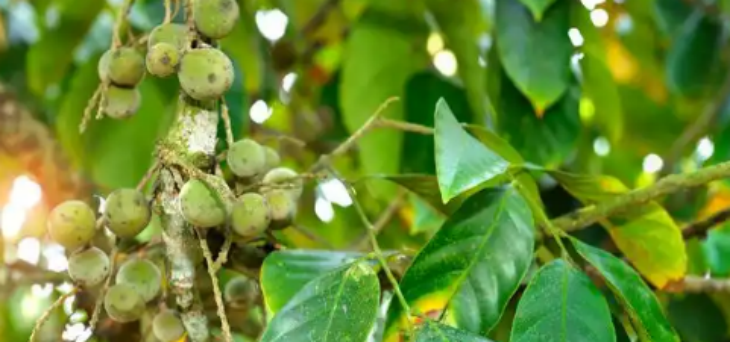 必发888(唯一)官方网站