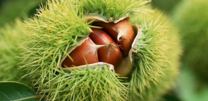 必发888(唯一)官方网站