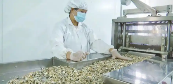 必发888(唯一)官方网站