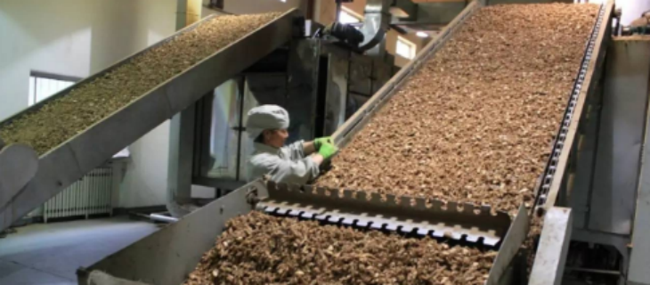 必发888(唯一)官方网站