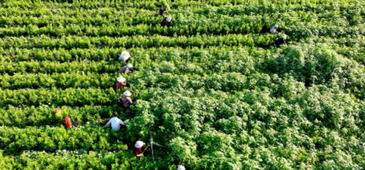 必发888(唯一)官方网站