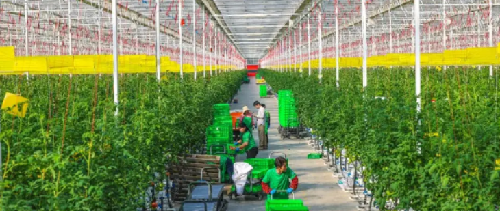 必发888(唯一)官方网站