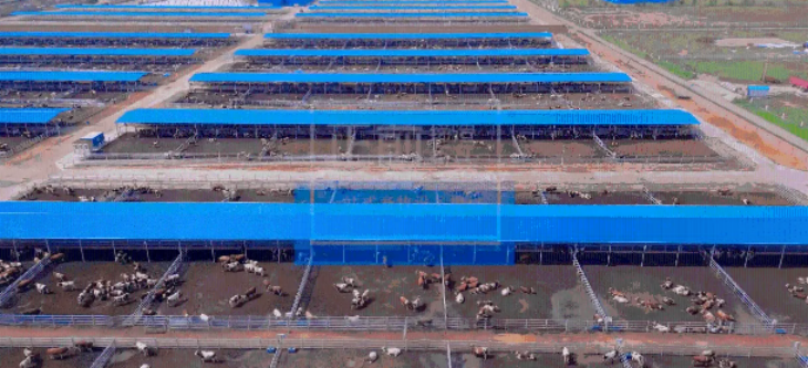 必发888(唯一)官方网站