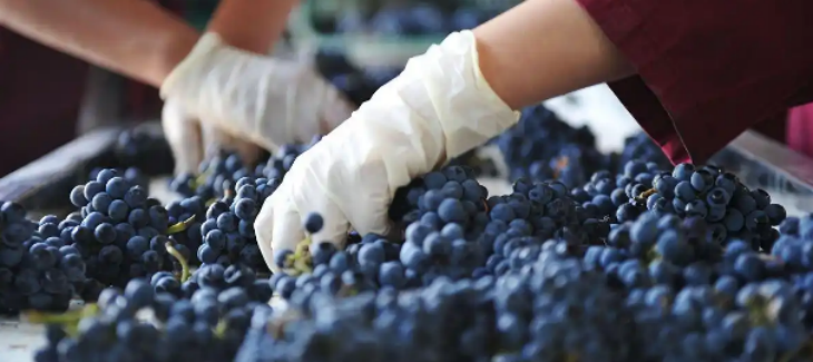 必发888(唯一)官方网站