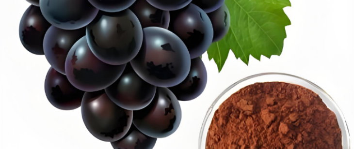 必发888(唯一)官方网站