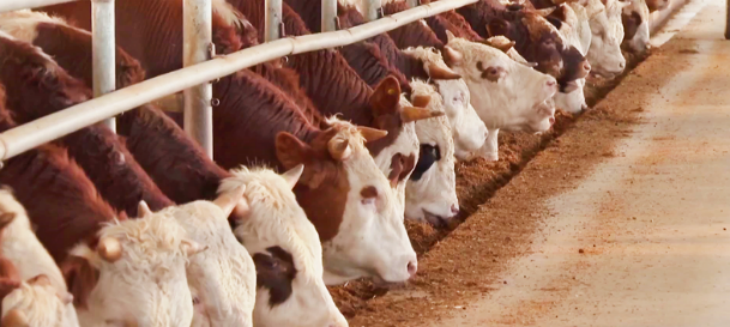 必发888(唯一)官方网站