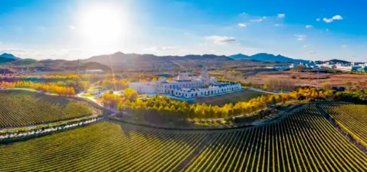 必发888(唯一)官方网站