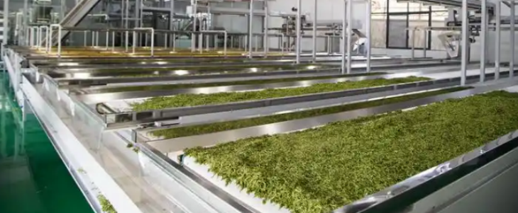 必发888(唯一)官方网站