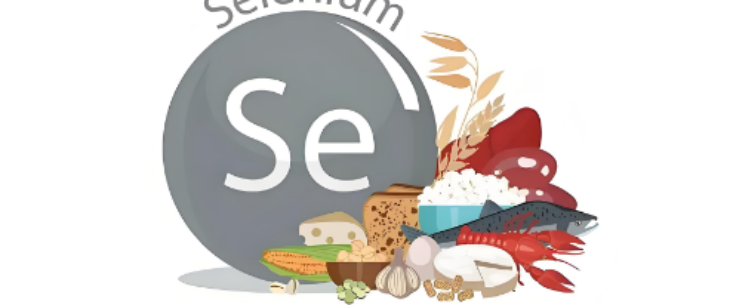 必发888(唯一)官方网站