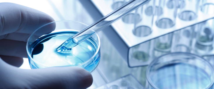 必发888(唯一)官方网站