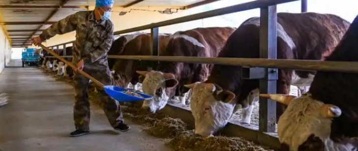 必发888(唯一)官方网站