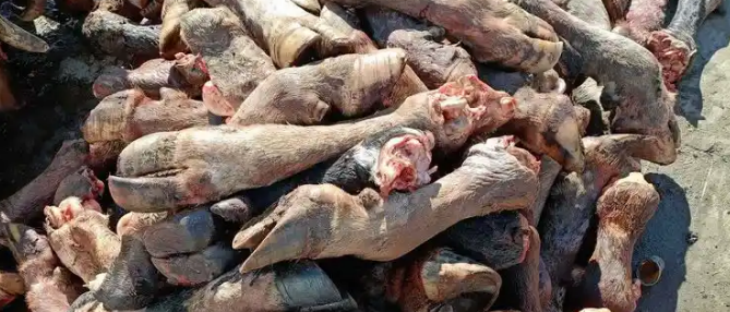 必发888(唯一)官方网站