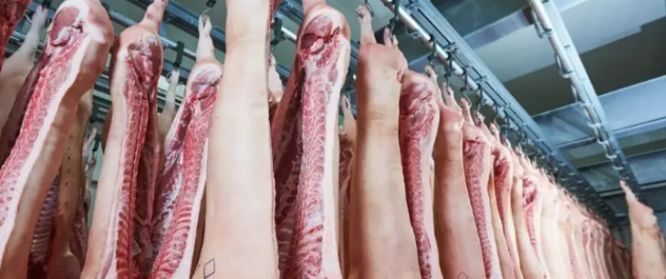 必发888(唯一)官方网站