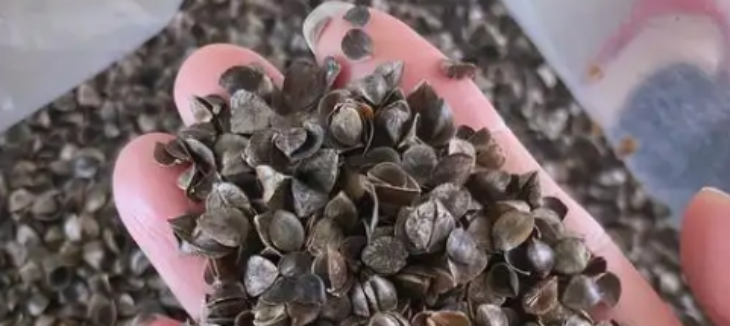 必发888(唯一)官方网站