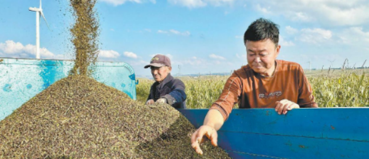 必发888(唯一)官方网站