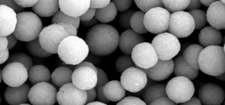 必发888(唯一)官方网站