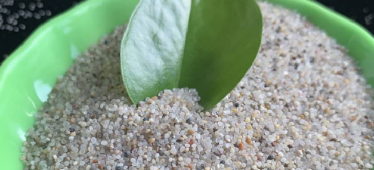 必发888(唯一)官方网站