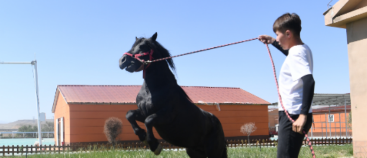 必发888(唯一)官方网站