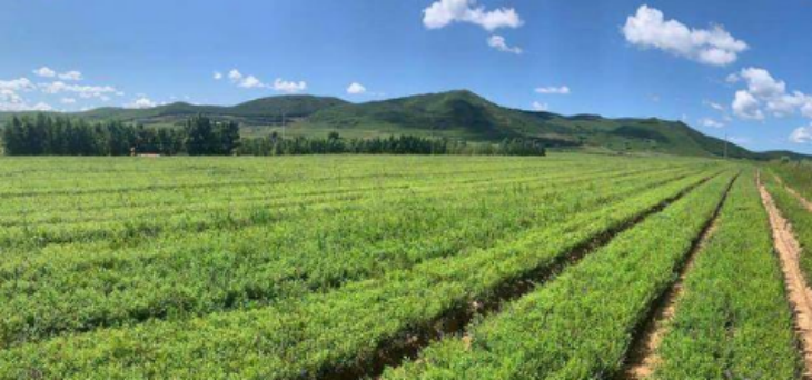 必发888(唯一)官方网站