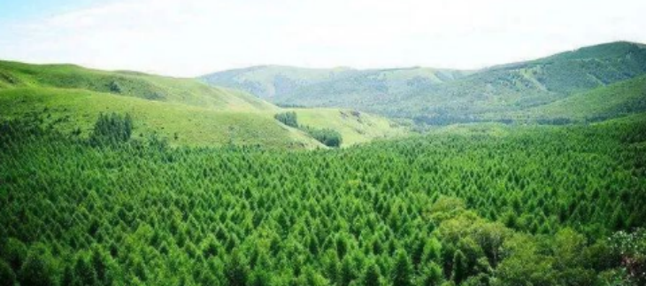 必发888(唯一)官方网站