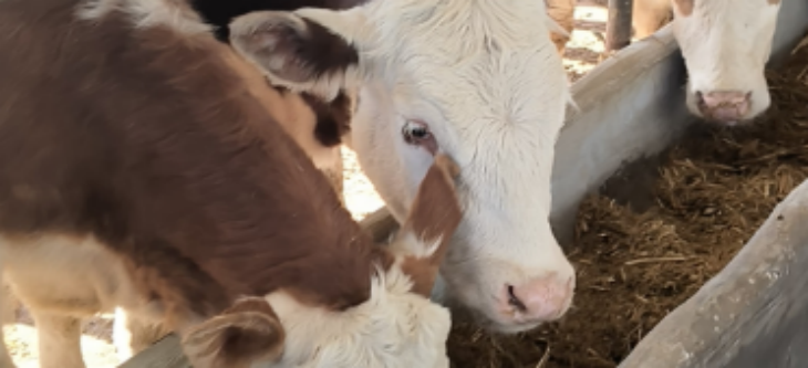 必发888(唯一)官方网站