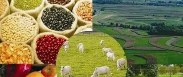 必发888(唯一)官方网站