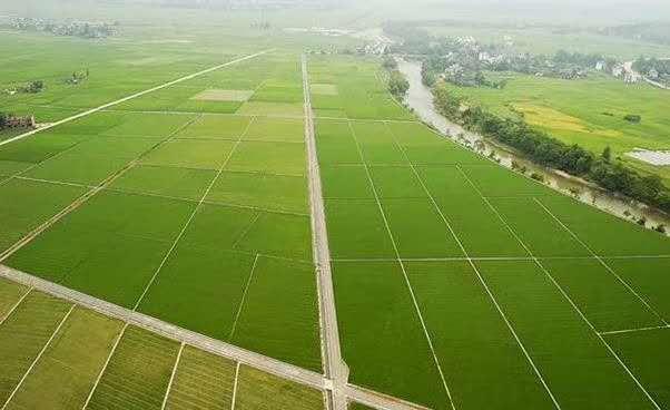 宝马bm1122线路顶级(中国)有限公司官网